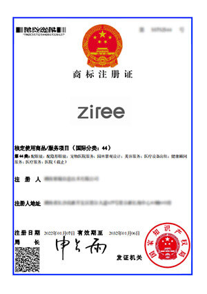 商标注册证书2